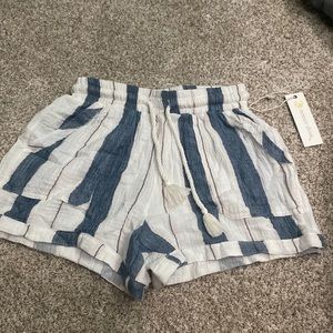 striped ocean drive shorts